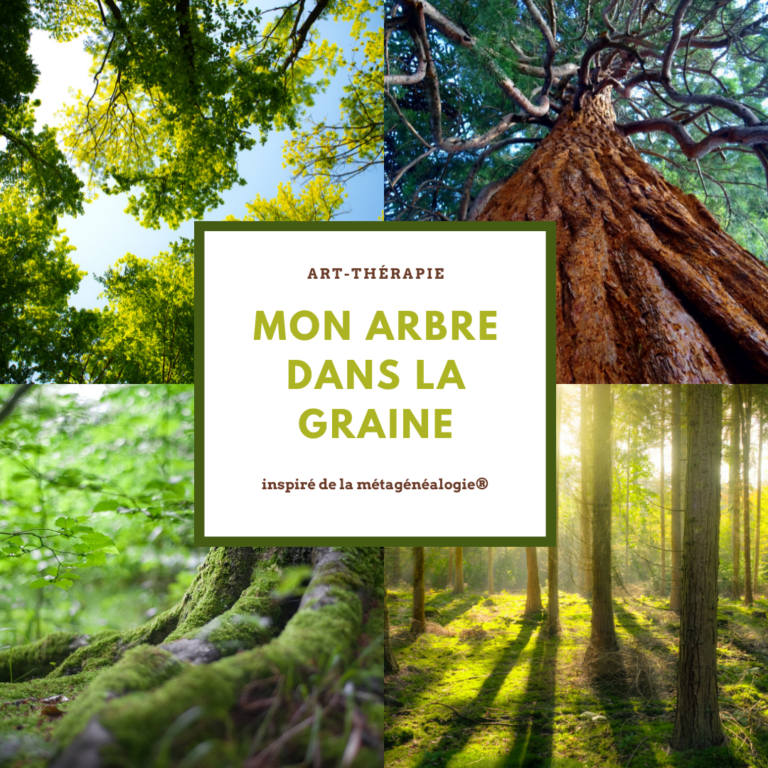 mon-arbre-dans-la-graine